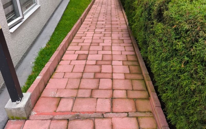 Limpieza y control de hongos en camineras adoquinadas