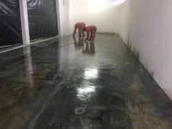 Pisos Epóxicos Industriales y Autonivelantes - La Resistencia que Marca la Diferencia