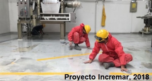 Pintura Epóxica y Recubrimientos Especiales: Pisos Epóxicos