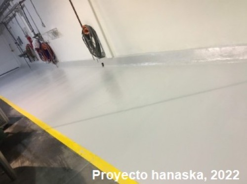 Pintura Hospitalaria