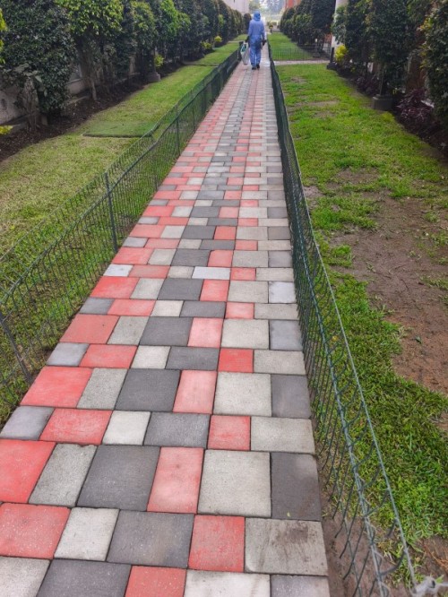 Limpieza y control de hongos en camineras adoquinadas