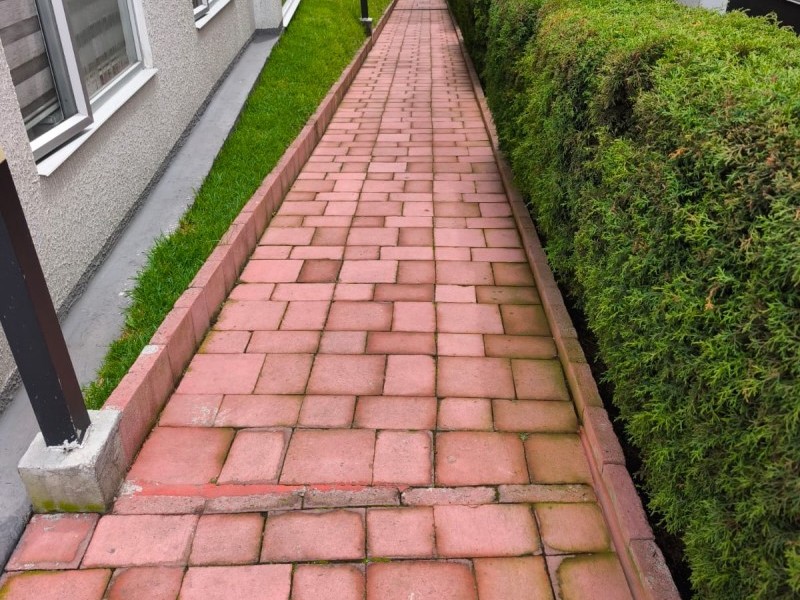 Limpieza y control de hongos en camineras adoquinadas